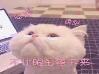 南京众昂通信科技有限公司