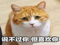 南京众昂通信科技有限公司