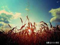 南京众昂通信科技有限公司