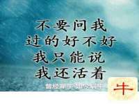 南京众昂通信科技有限公司