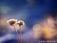 南京众昂通信科技有限公司
