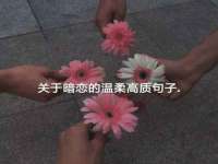 南京众昂通信科技有限公司