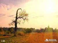 南京众昂通信科技有限公司