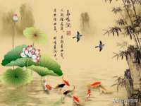 南京众昂通信科技有限公司