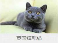 南京众昂通信科技有限公司