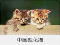 南京众昂通信科技有限公司