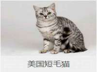 南京众昂通信科技有限公司
