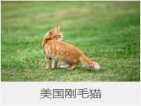 南京众昂通信科技有限公司