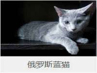 南京众昂通信科技有限公司
