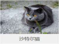 南京众昂通信科技有限公司