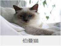 南京众昂通信科技有限公司