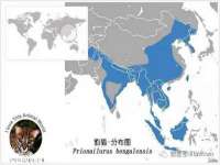 南京众昂通信科技有限公司