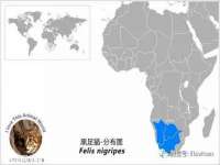 南京众昂通信科技有限公司