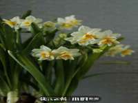 南京众昂通信科技有限公司