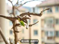 南京众昂通信科技有限公司
