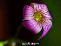 南京众昂通信科技有限公司