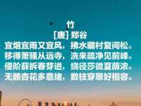 南京众昂通信科技有限公司