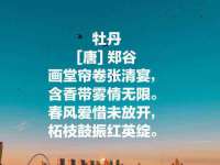 南京众昂通信科技有限公司