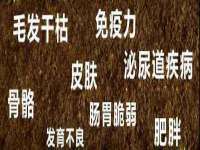 南京众昂通信科技有限公司