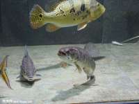 南京众昂通信科技有限公司