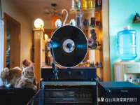 南京众昂通信科技有限公司