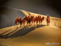 南京众昂通信科技有限公司