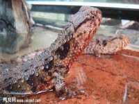 南京众昂通信科技有限公司