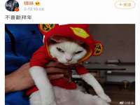 南京众昂通信科技有限公司